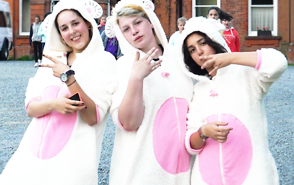 We formed a connection > Head Banging Sheep