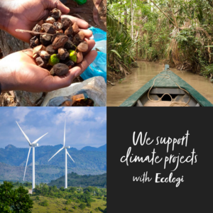 Ecologi enables organisations to offset carbon through climate  projects